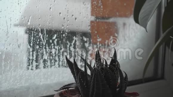 窗玻璃上的雨滴雪气候沙恩概念4k视频的预览图