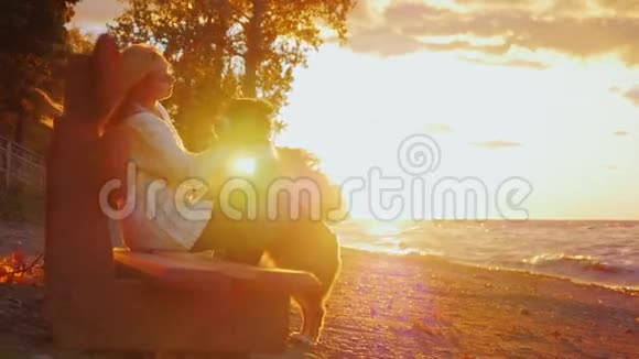 坐在公园长椅上的年轻女人和你的狗在日落时在湖边或大海背景下玩耍慢动作视频的预览图