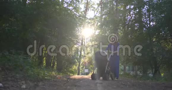 4K慢动作年轻的女人在阳光下和婴儿车在森林里散步视频的预览图