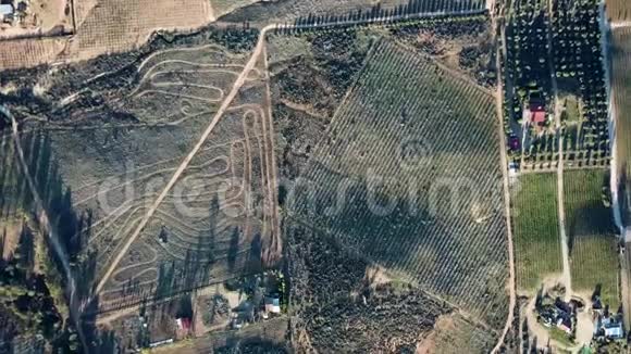 桑托斯博德加德圣托马斯恩塞纳达附近的葡萄园农场视频的预览图