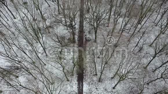 冬季森林的空中景色从森林中可以看到车辆的踪迹视频的预览图