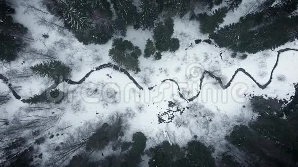 鸟瞰野生寒冷的冬林从森林到村庄的全景视频的预览图