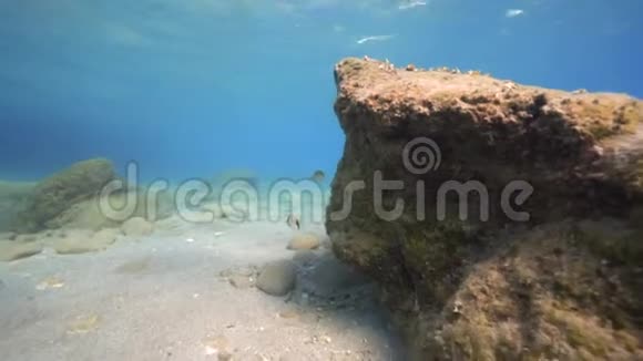 在水下美丽的地中海海底景观视频的预览图