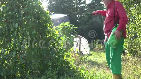 男农在碧桂园夕阳下喷播绿豆植物4K视频的预览图
