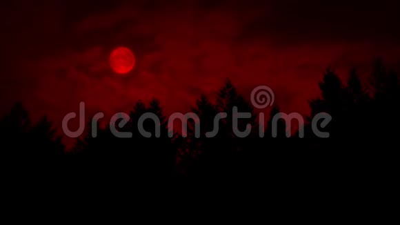 森林上方的红月视频的预览图