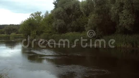 岸边有树的河流视频的预览图