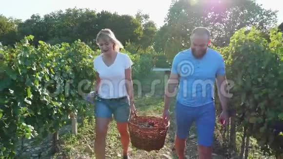幸福的一对农民在葡萄园里提着一篮子葡萄视频的预览图
