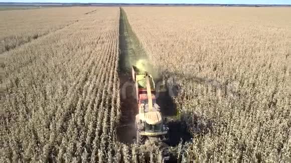 前景结合切割玉米秸秆和清理农田视频的预览图