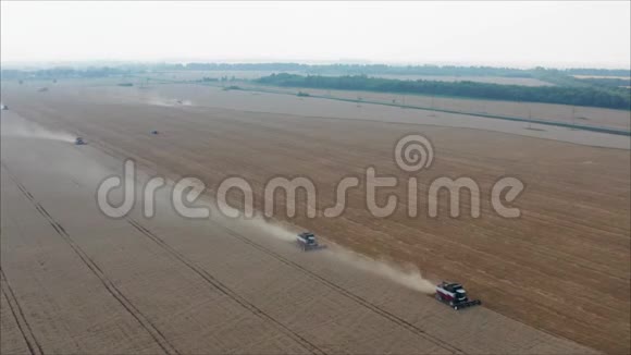 田野上的两个收割机收集小麦联合收割机农业机械采集黄金视频的预览图