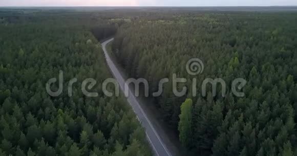 黄昏时柏油路上无边无际的黑暗森林景观视频的预览图