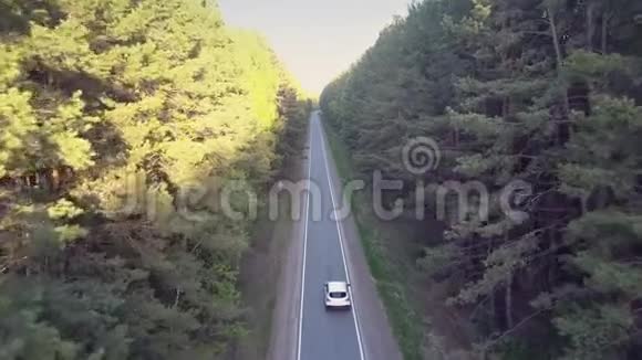 太阳光线照射松树和汽车沿着道路行驶视频的预览图