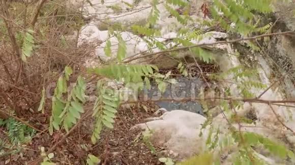 天然浴与矿泉水不远的洞穴命名普罗瓦尔视频的预览图