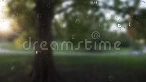 落雨滴通过相机镜头观看视频的预览图