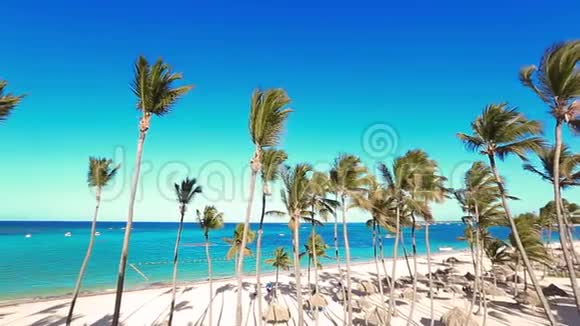 加勒比海滩全景绿松石海棕榈树和覆盖着稻草的海滩伞视频的预览图