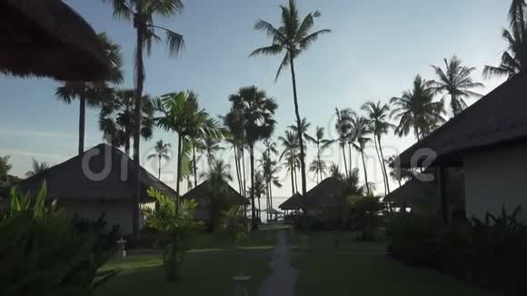 相机穿过热带海洋酒店的领地在阳光明媚的一天位于棕榈树林中的邦加视频的预览图