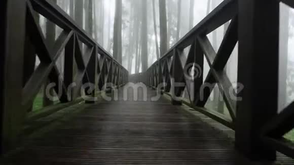 在雾雾雾和雾中沿着木路走过阿里山国家公园森林基础设施发达视频的预览图