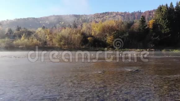 在乌克兰喀尔巴阡山脉的斯特里伊河上空飞行山谷里的老式木屋秋天早晨视频的预览图