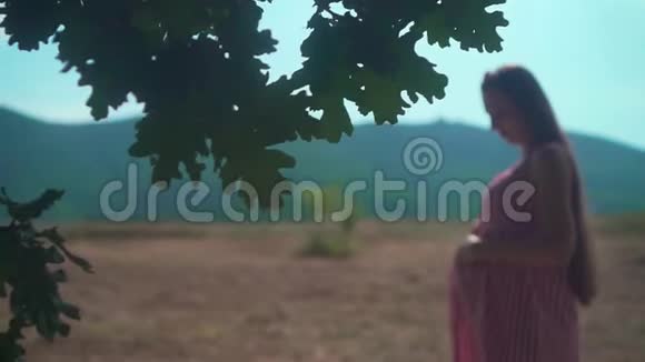 年轻的怀孕迷人的女孩穿着条纹红白连衣裙在晴朗的天气在夏天视频的预览图