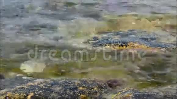 水边的岩石池视频的预览图