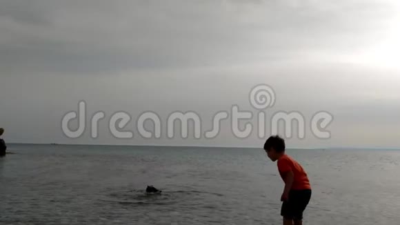 日落时在海滩上玩耍的儿童和狗的剪影男孩和他们的宠物玩得很开心视频的预览图