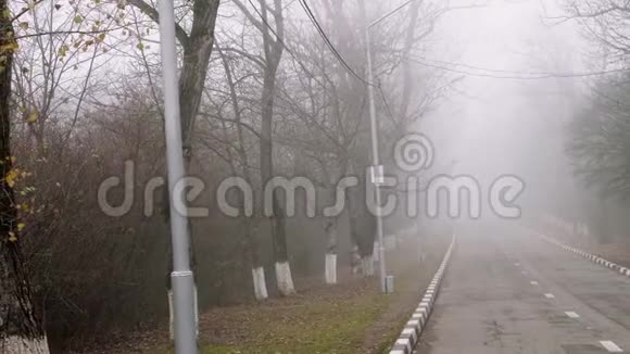 在雾中公园里安静的秋天天气先生视频的预览图