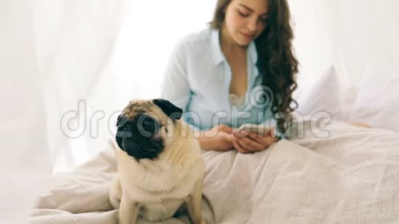 与手机女人聊天坐在床上在轻舒适的卧室与狗狗狗录像片段视频的预览图