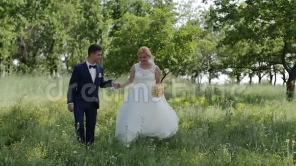 浪漫的婚礼时刻新婚夫妇新娘和新郎在公园里散步高清高清视频的预览图