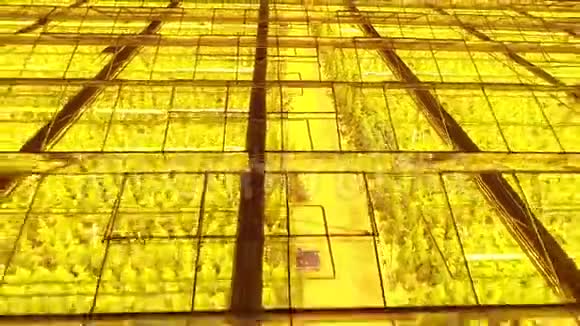 现代温室的玻璃屋顶被里面的灯点亮视频的预览图