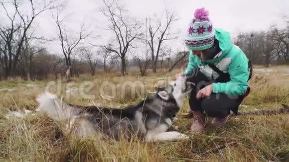 冬天一个年轻漂亮的女人在森林里遛狗玩狗视频的预览图