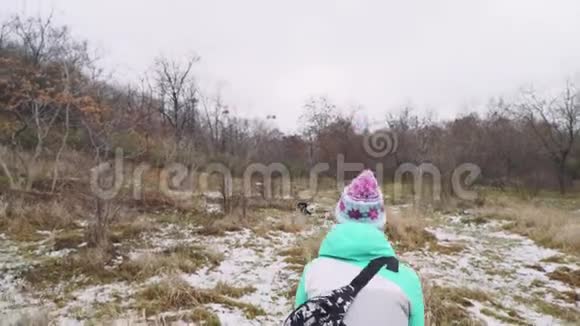 冬天一个年轻漂亮的女人在森林里遛狗玩狗视频的预览图