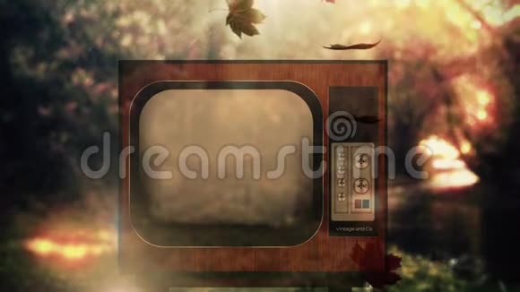 老式电视和秋天落叶视频的预览图