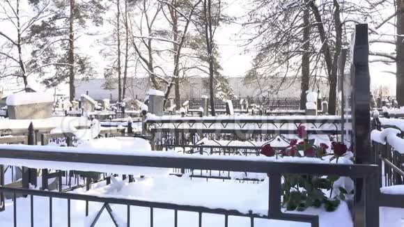 冬天墓地坟墓上的鲜花哀悼视频的预览图