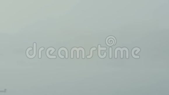 孤独的野鸭漂浮在水面上在浓雾中工作的背景下视频的预览图