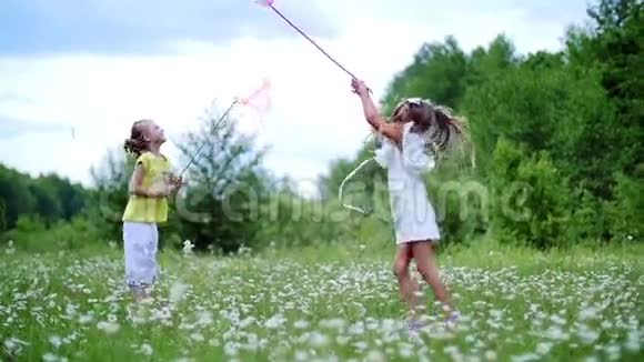 在绿绿的洋甘菊的草坪上小朋友拿着网到处跑尝试捉蝴蝶蚱蜢他们跑跳视频的预览图