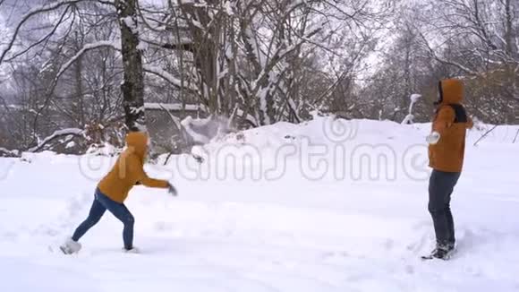 夫妻俩打雪仗视频的预览图