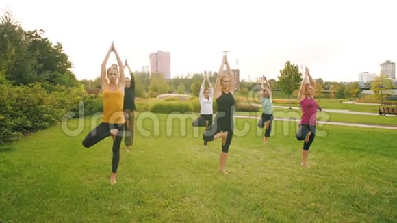 一群人在大自然中做瑜伽视频的预览图