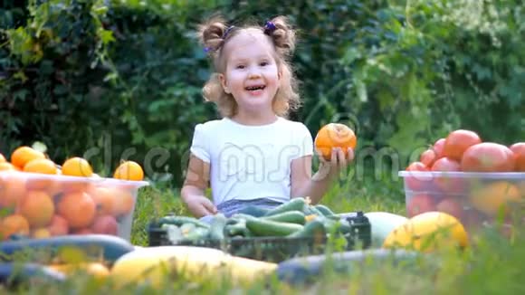 小女孩和一大批蔬菜西红柿西葫芦和黄瓜视频的预览图