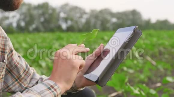 年轻的农民在田里放着平板电脑视频的预览图
