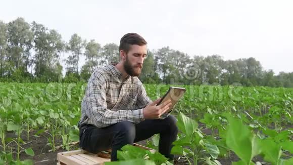 年轻的农民在田里放着平板电脑视频的预览图