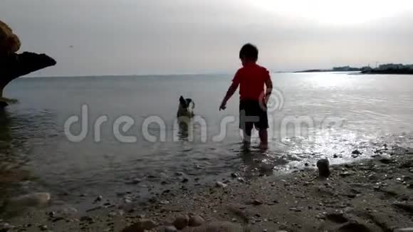 日落时在海滩上玩耍的儿童和狗的剪影男孩和他们的宠物玩得很开心视频的预览图