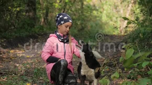 美丽的小女孩和一只狗在美丽的秋天公园里天气晴朗快关门户外视频的预览图