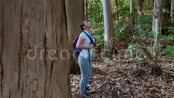 徒步旅行的年轻女子背着背包在森林里徒步旅行四处张望视频的预览图