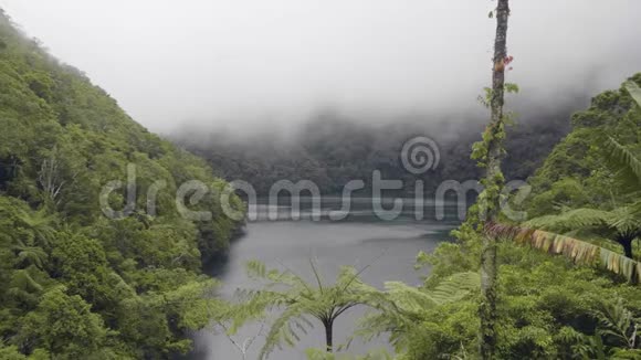 热带湖泊和绿色森林上空的雾云绿色高地之间的自然景观雾霭和山湖视频的预览图