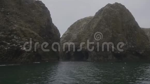山崖和海鸟在海水中游泳和飞翔视频的预览图