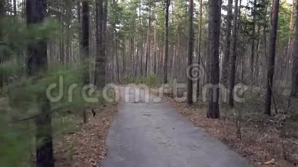 一个年轻人在一个美丽的公园里慢跑视频的预览图