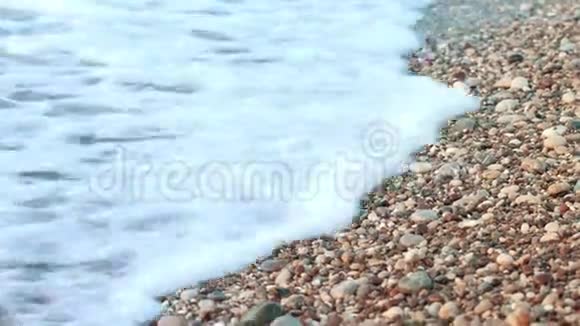 小海龟在沙滩上爬行到海洋刚出生的乌龟出海视频的预览图