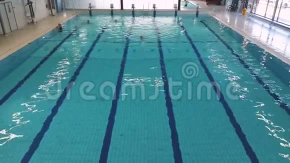 大型室内游泳池人们可以自由地在游泳池里游泳视频的预览图