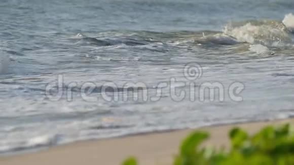 下午晚些时候海浪和泡沫撞击沙滩视频的预览图