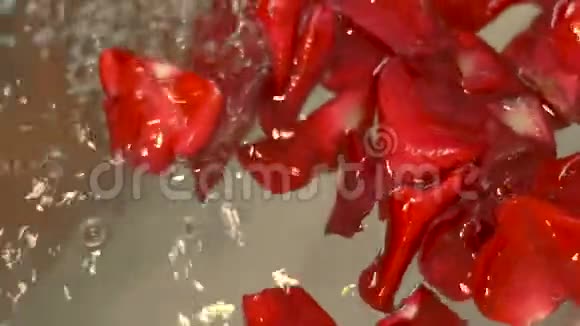 红色玫瑰花瓣漂浮在按摩浴缸温泉沙龙附近按摩浴缸里的玫瑰花瓣水疗组合禅与禅视频的预览图