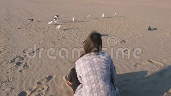 女人正在沙滩上喂鸟海鸥和乌鸦视频的预览图